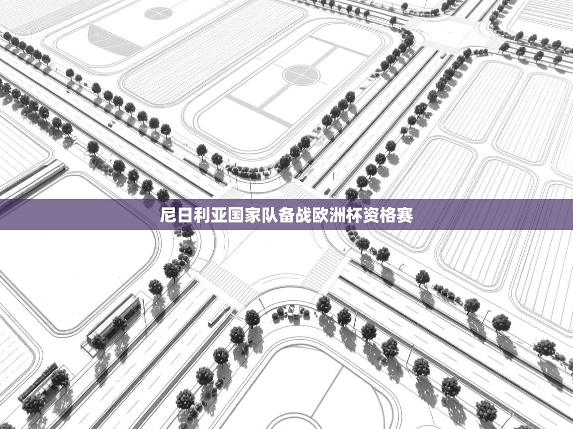 尼日利亚国家队备战欧洲杯资格赛