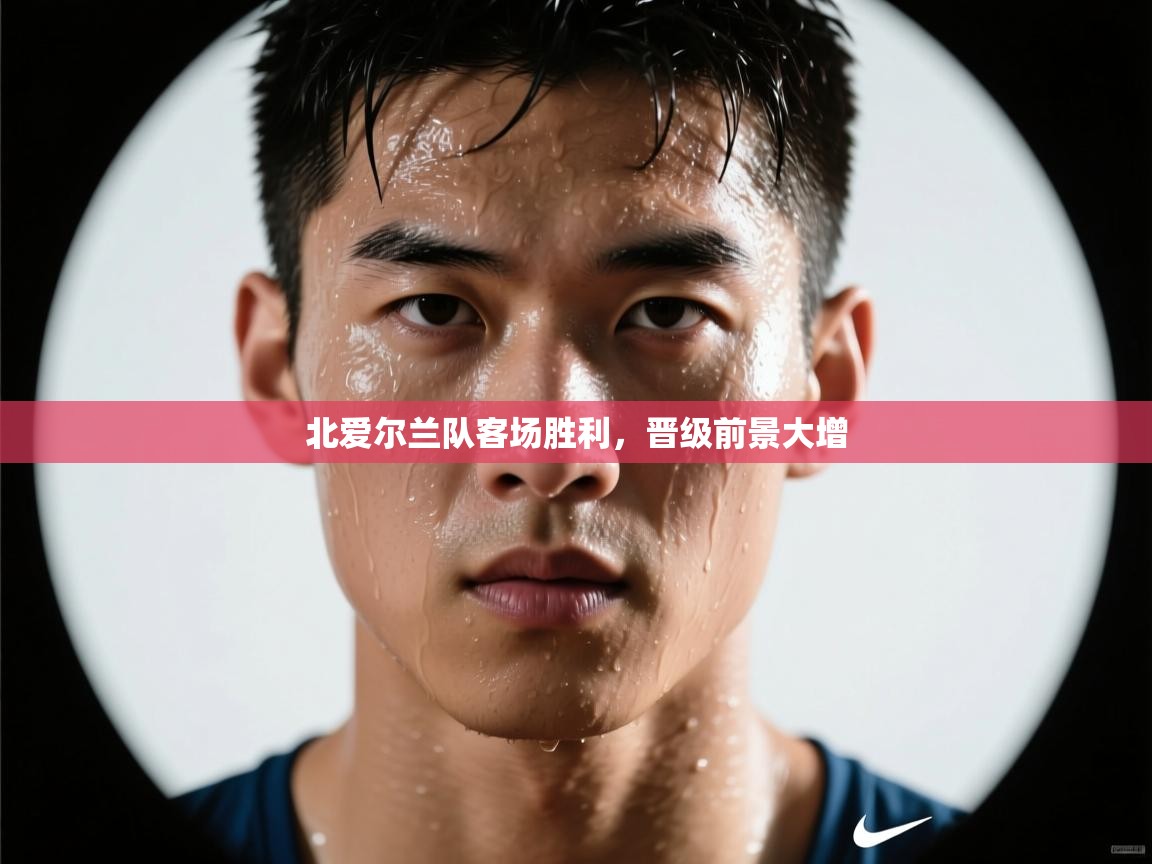 北爱尔兰队客场胜利，晋级前景大增